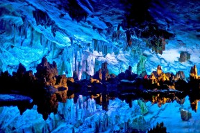 世界游泳俱乐部商业化尝试成功案例，2020年游泳馆行业发展